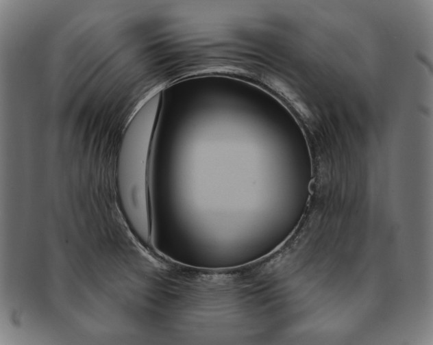 X0000091191377200709061005