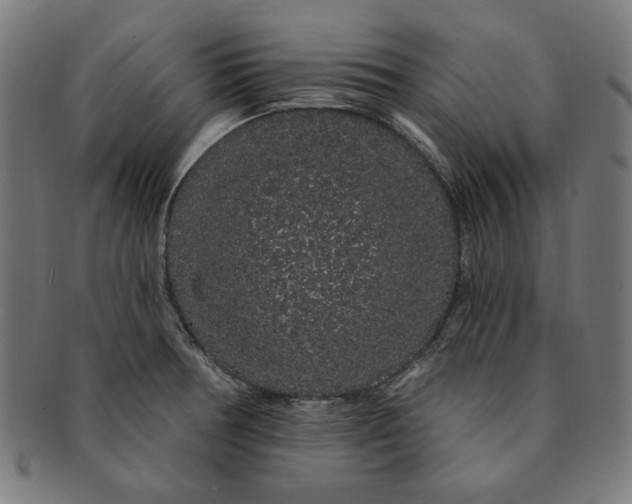 X0000091191378200709061005