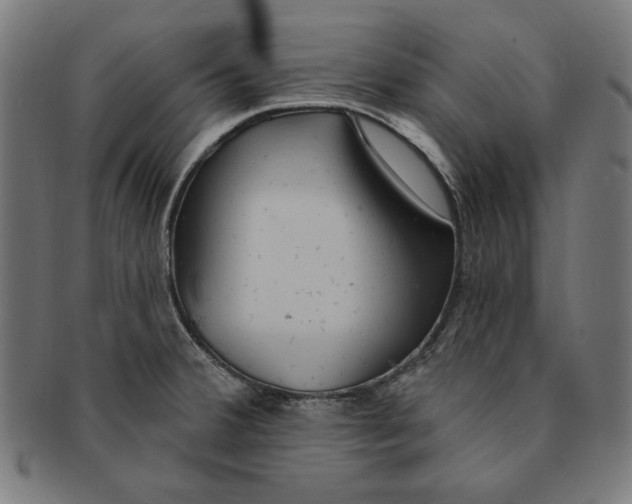 X0000091191380200709061005