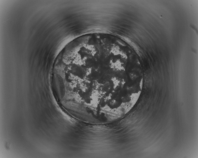 X0000091191383200709061005