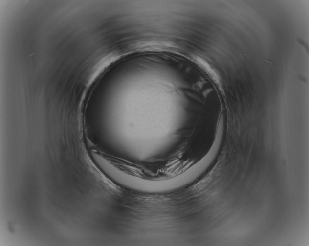 X0000091191384200709061005