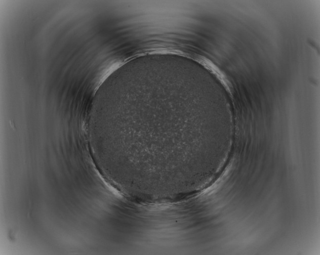 X0000091191385200709061005