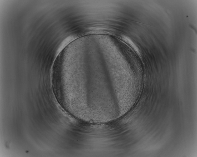 X0000091191386200709061005