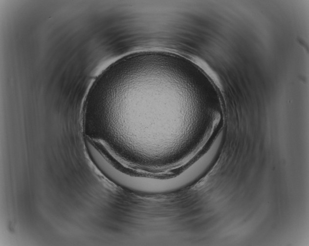 X0000091191388200709061005