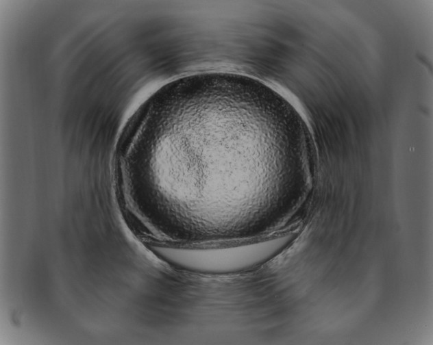 X0000091191389200709061005