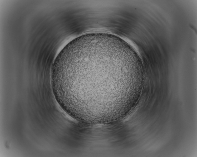 X0000091191390200709061005