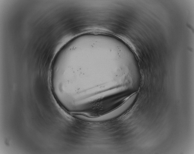 X0000091191391200709061005