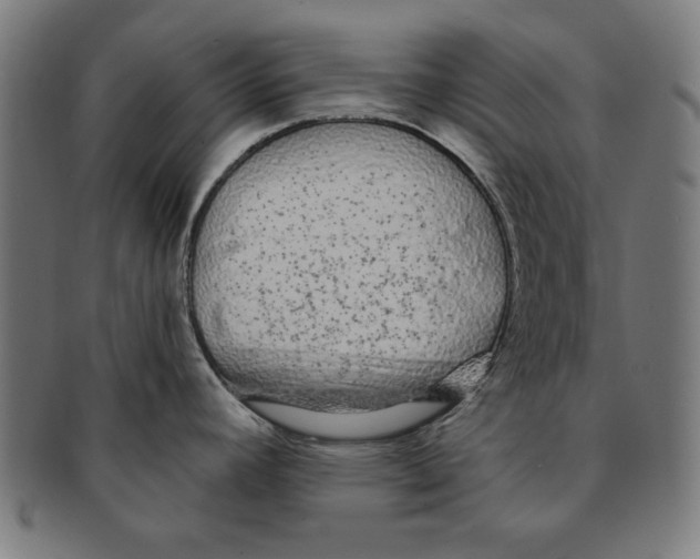 X0000091191392200709061005