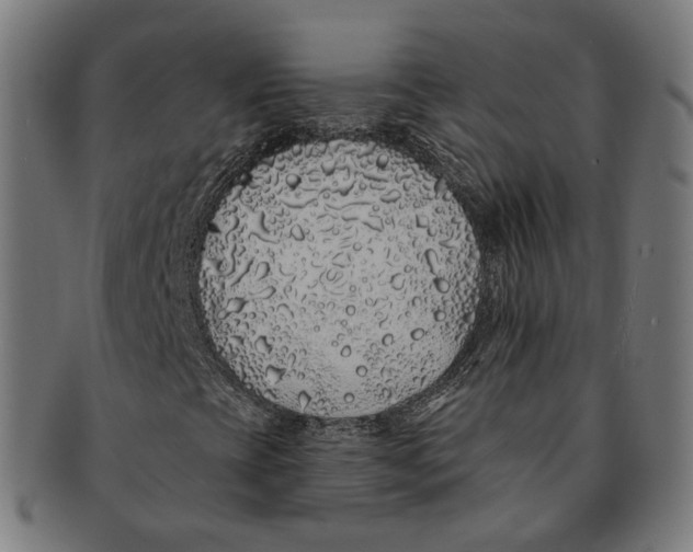 X0000091191393200709061004