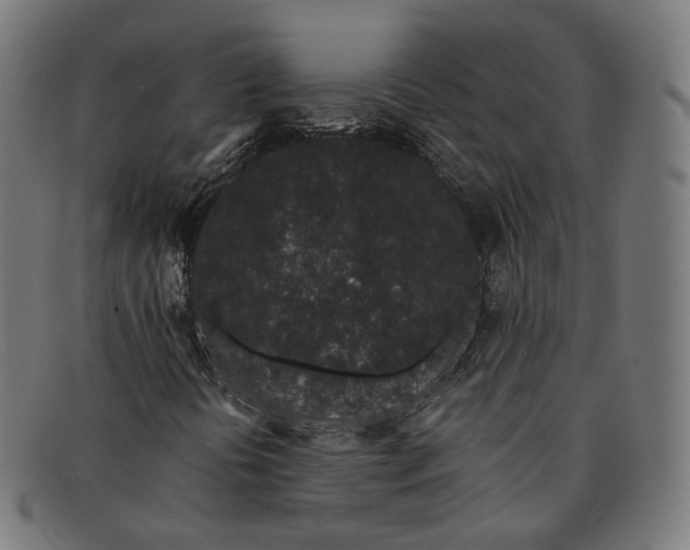 X0000091191394200709061004