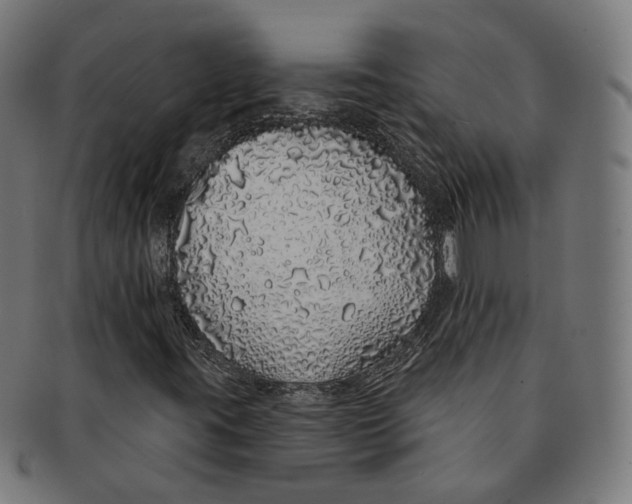 X0000091191395200709061004