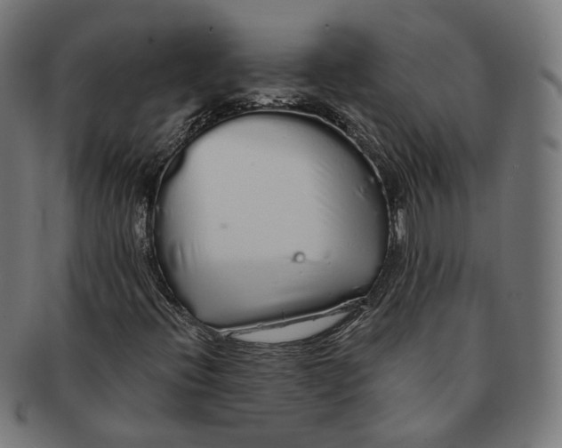 X0000091191396200709061004