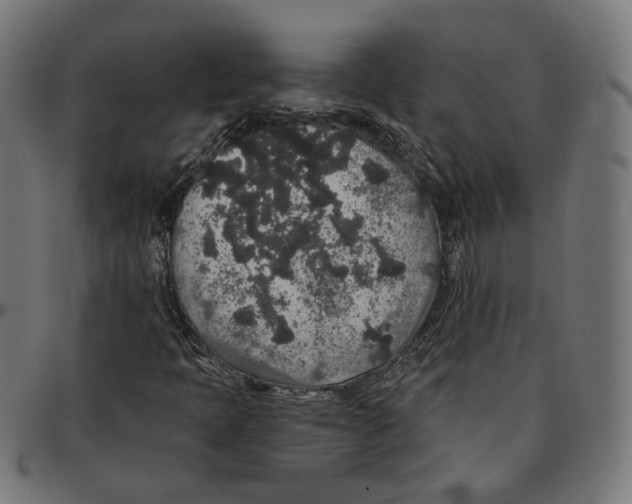 X0000091191397200709061004