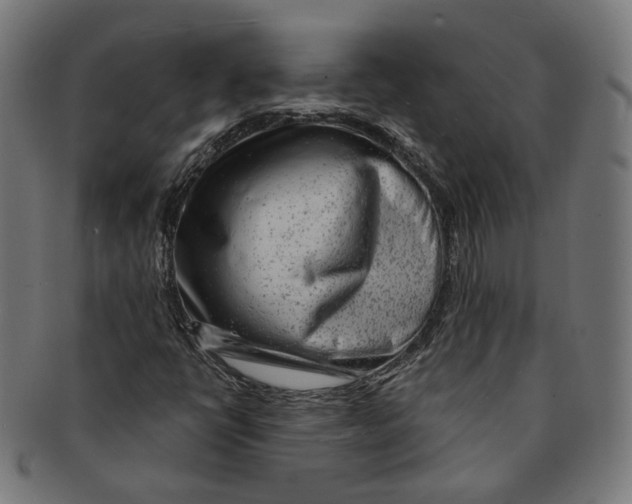 X0000091191398200709061004