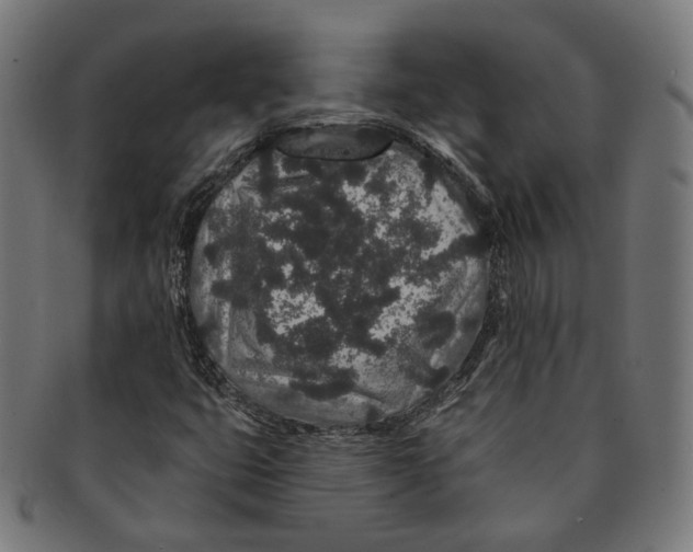 X0000091191399200709061004