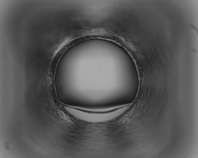 X0000091191400200709061004