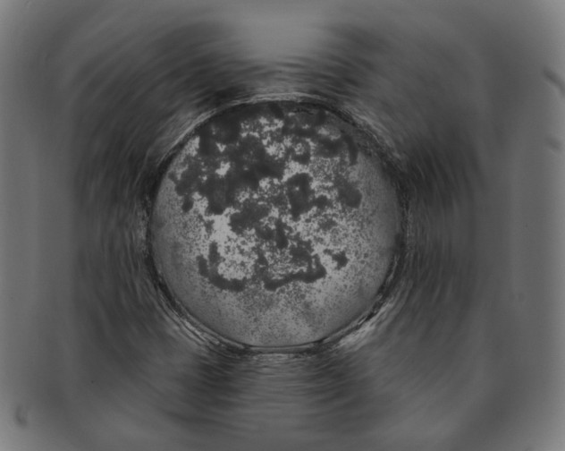 X0000091191401200709061004