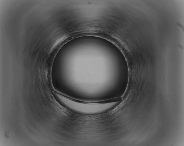 X0000091191402200709061004