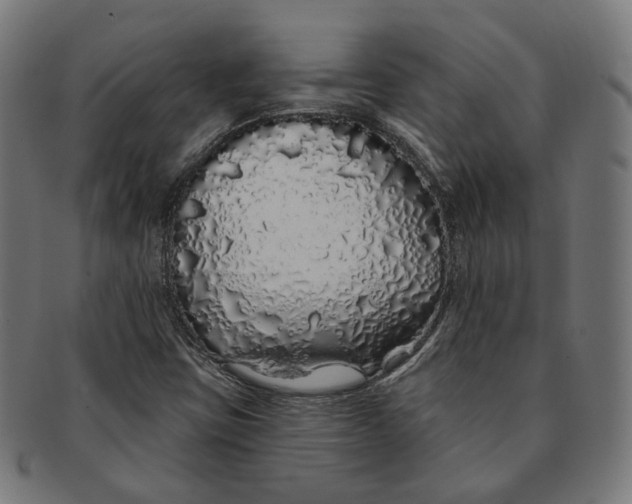 X0000091191403200709061004