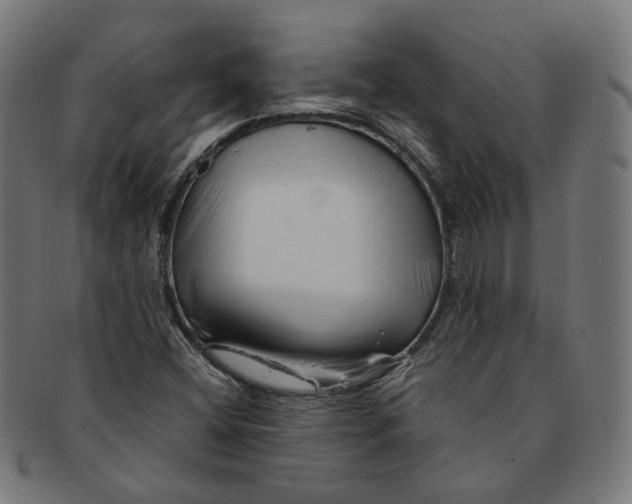 X0000091191404200709061004