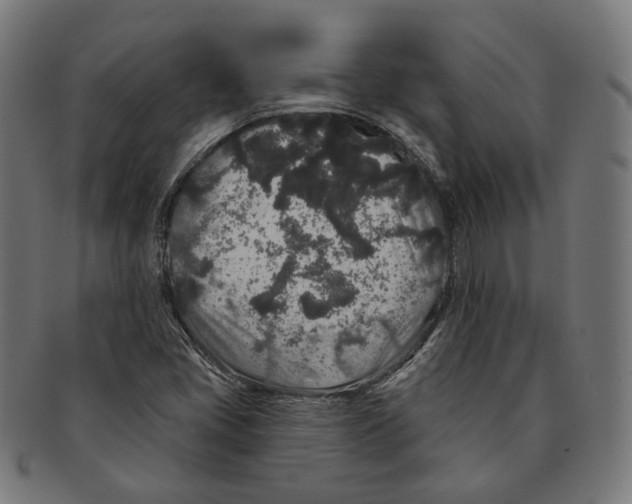 X0000091191405200709061004