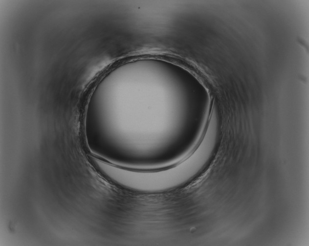 X0000091191406200709061004