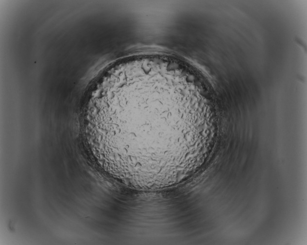 X0000091191407200709061004