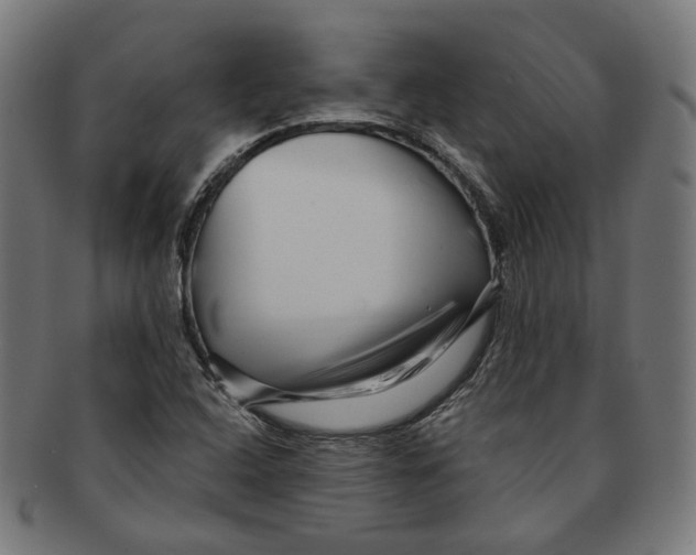 X0000091191408200709061004