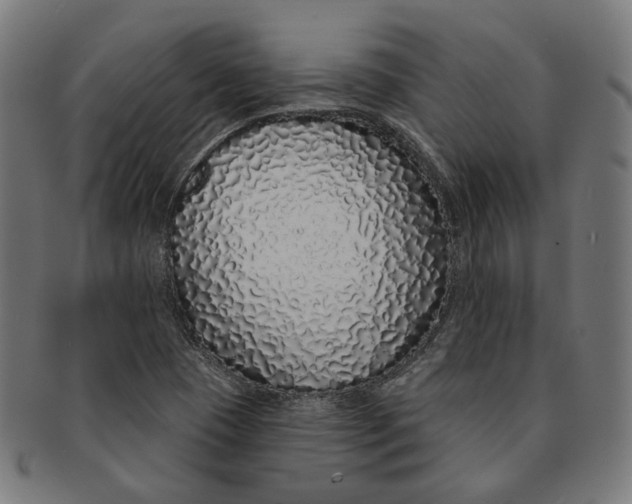 X0000091191409200709061004