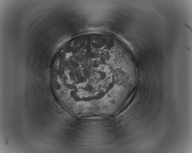 X0000091191411200709061004