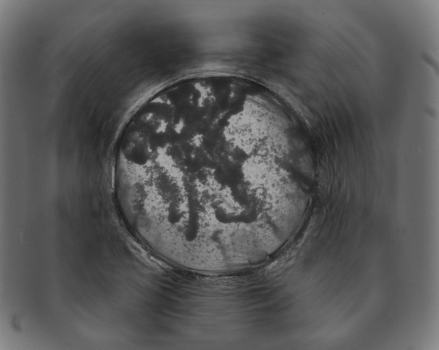 X0000091191413200709061004