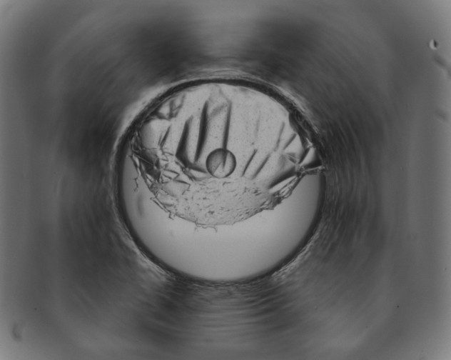 X0000091191414200709061004