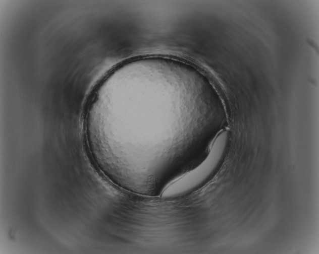 X0000091191416200709061004