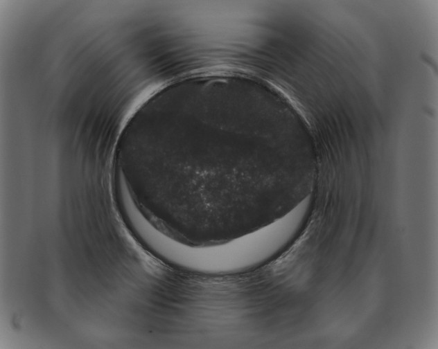 X0000091191418200709061004