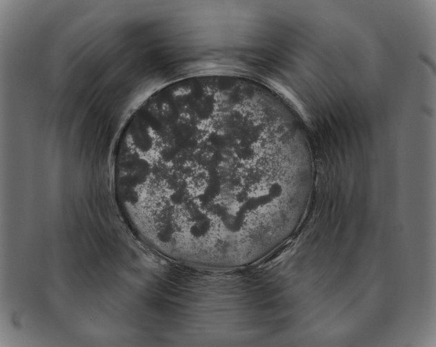 X0000091191419200709061004