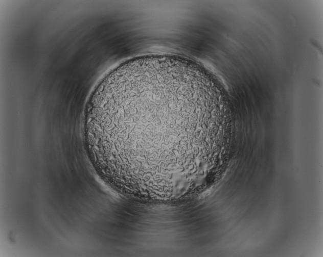 X0000091191421200709061004