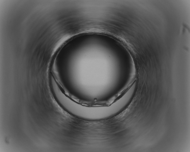 X0000091191422200709061004