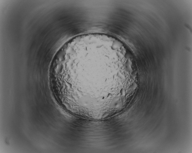 X0000091191423200709061004