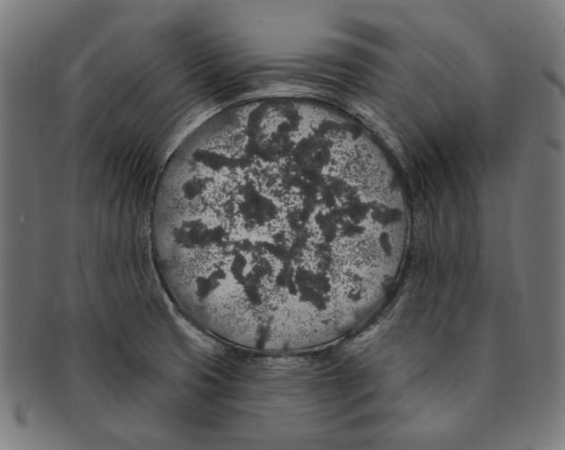 X0000091191425200709061004