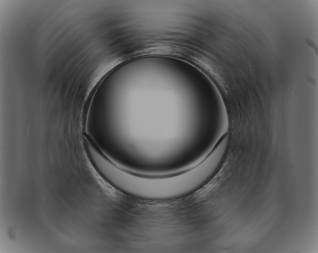 X0000091191426200709061004