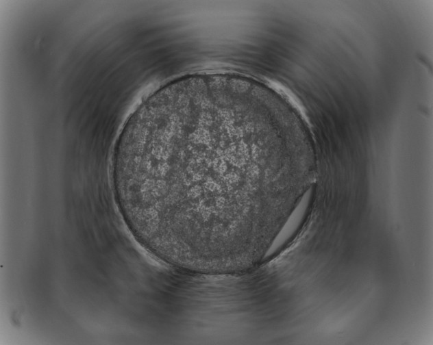 X0000091191429200709061004