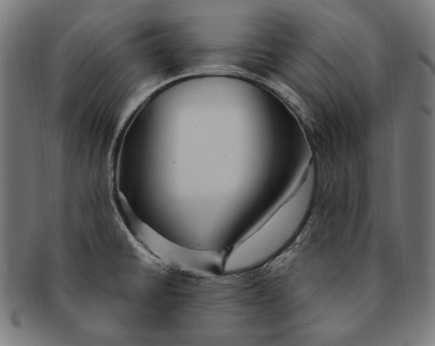 X0000091191430200709061004