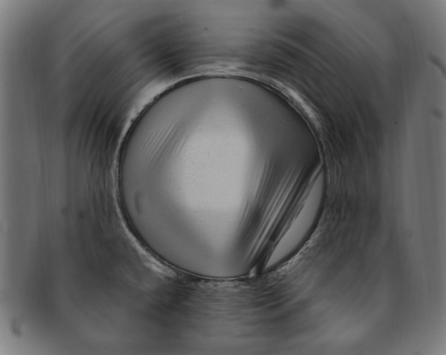 X0000091191432200709061004