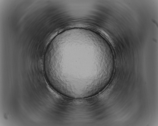 X0000091191433200709061004