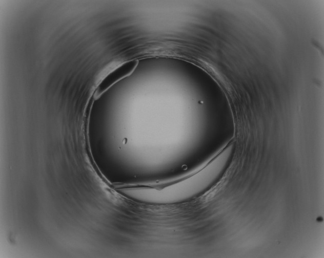 X0000091191434200709061005