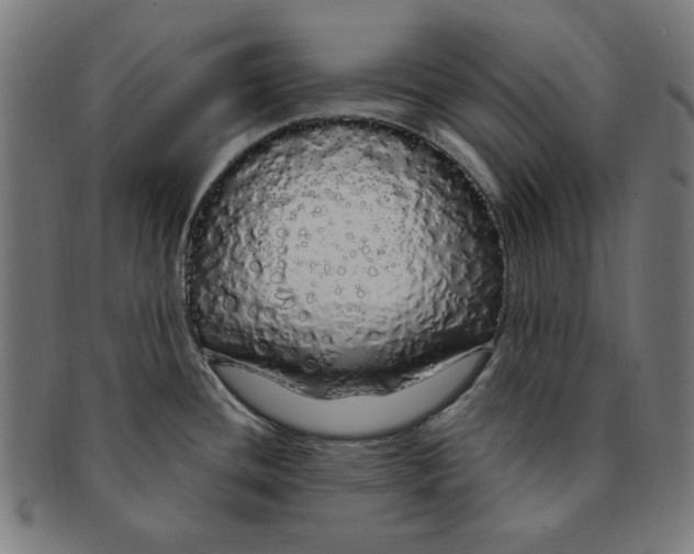 X0000091191436200709061005