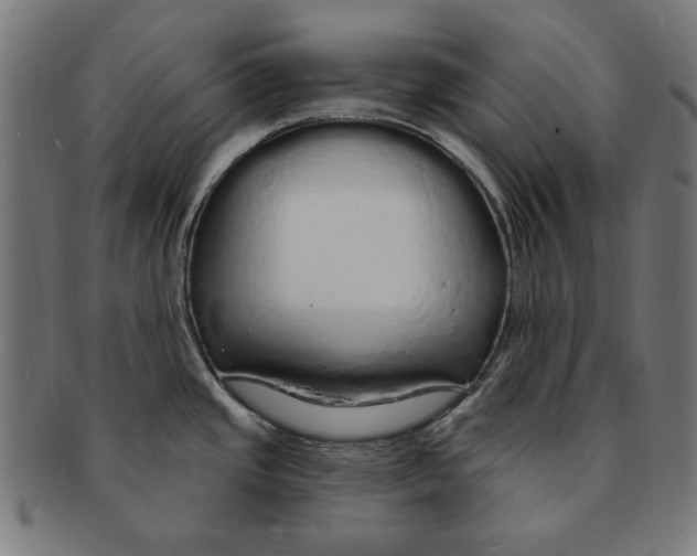 X0000091191437200709061005