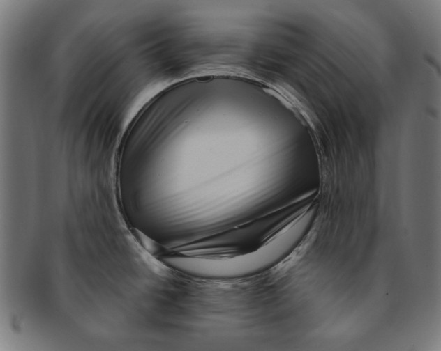 X0000091191438200709061005