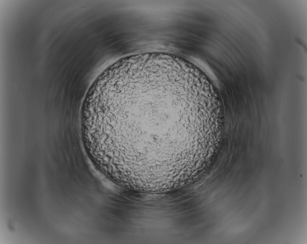 X0000091191439200709061005