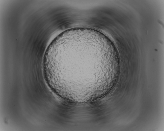 X0000091191440200709061005